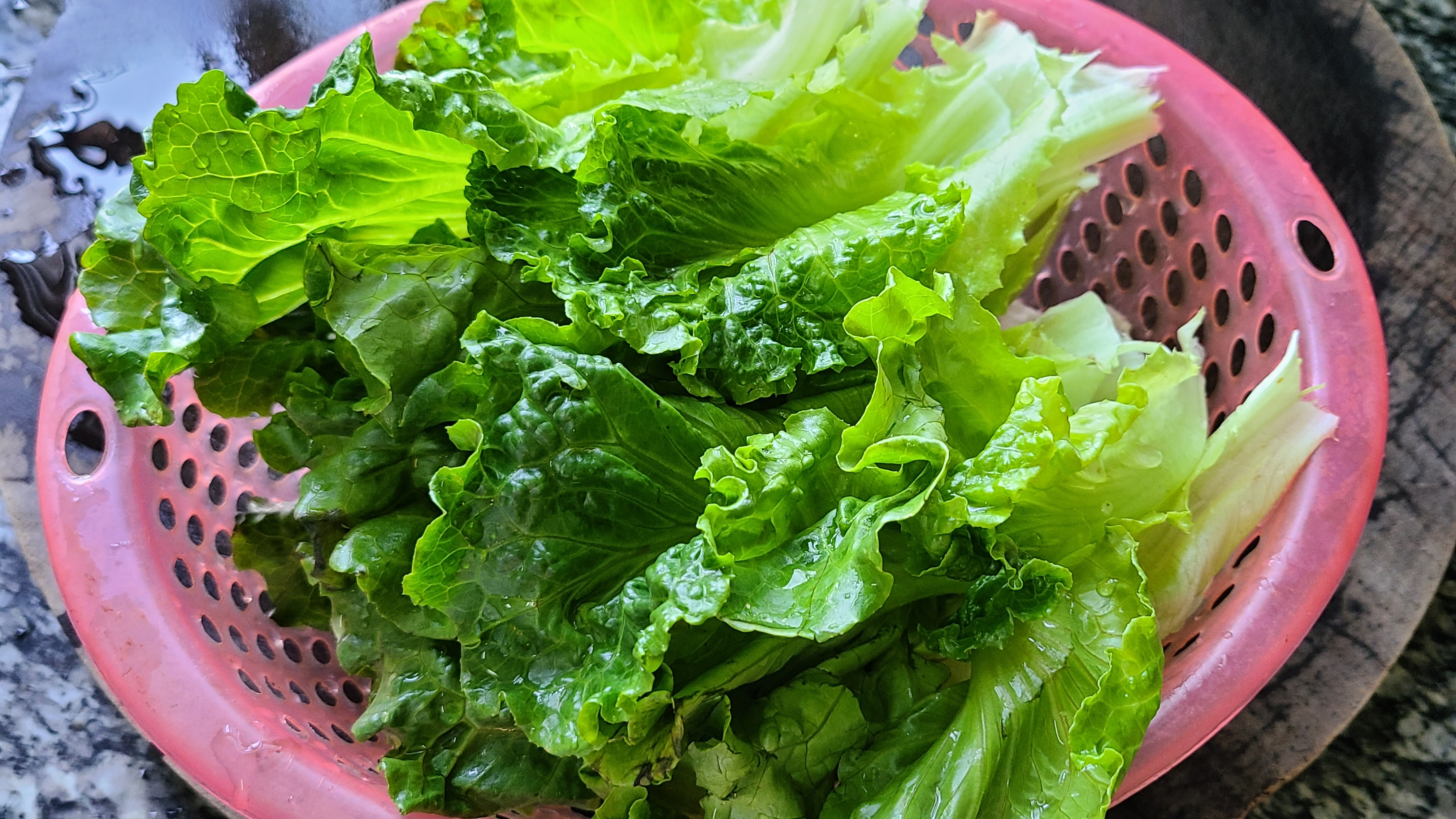 生菜的做法步骤,白灼生菜家常做法