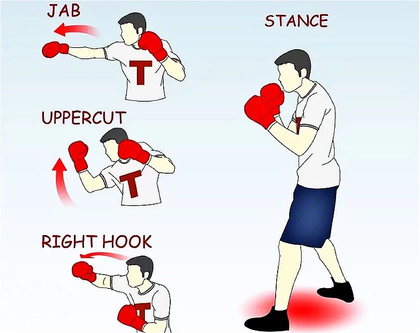 如何成为职业拳击运动员（EFA How 丨如何成为专业的拳击手）
