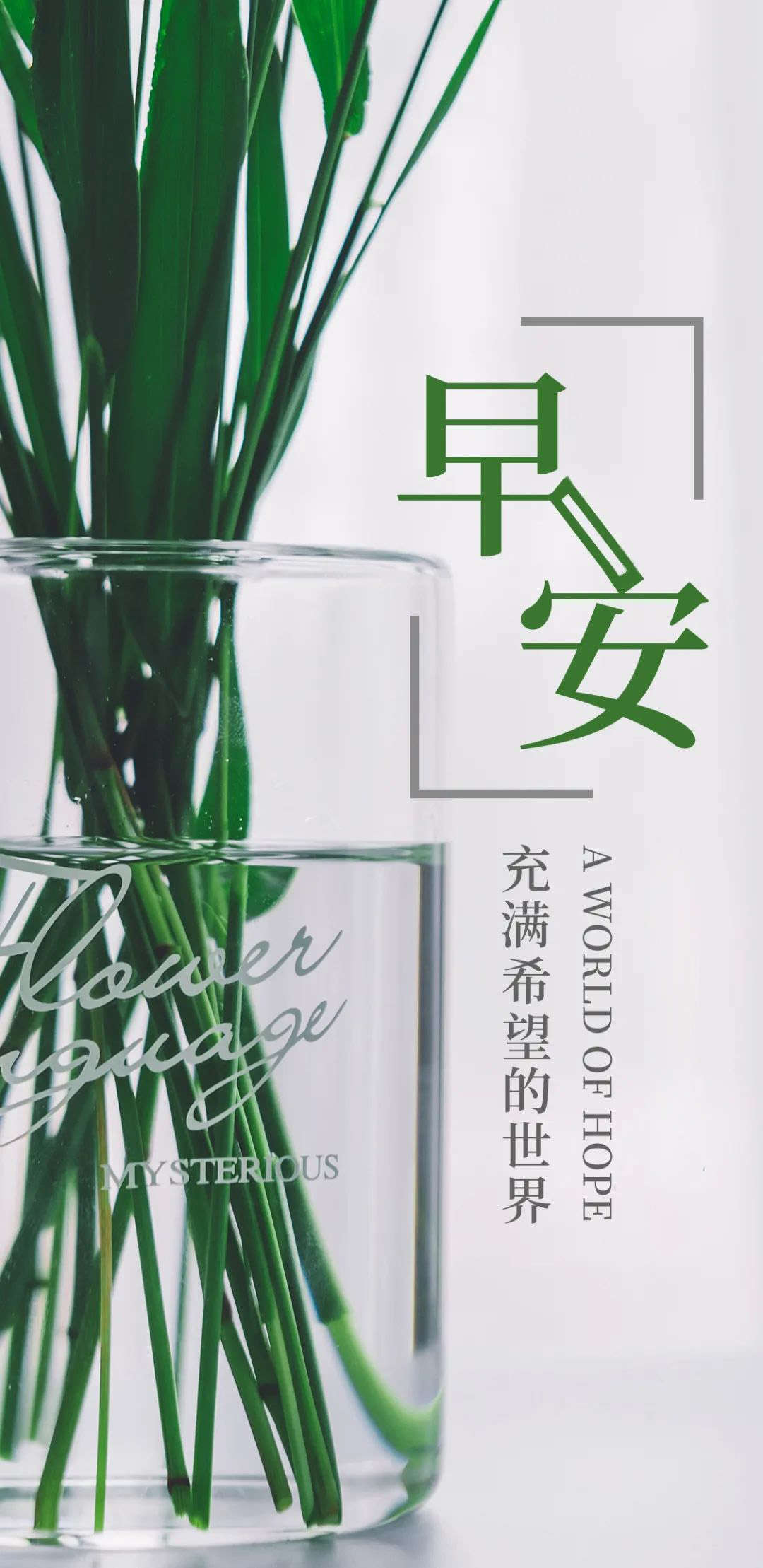 早安日签图片简单带字，早上好正能量问候句子