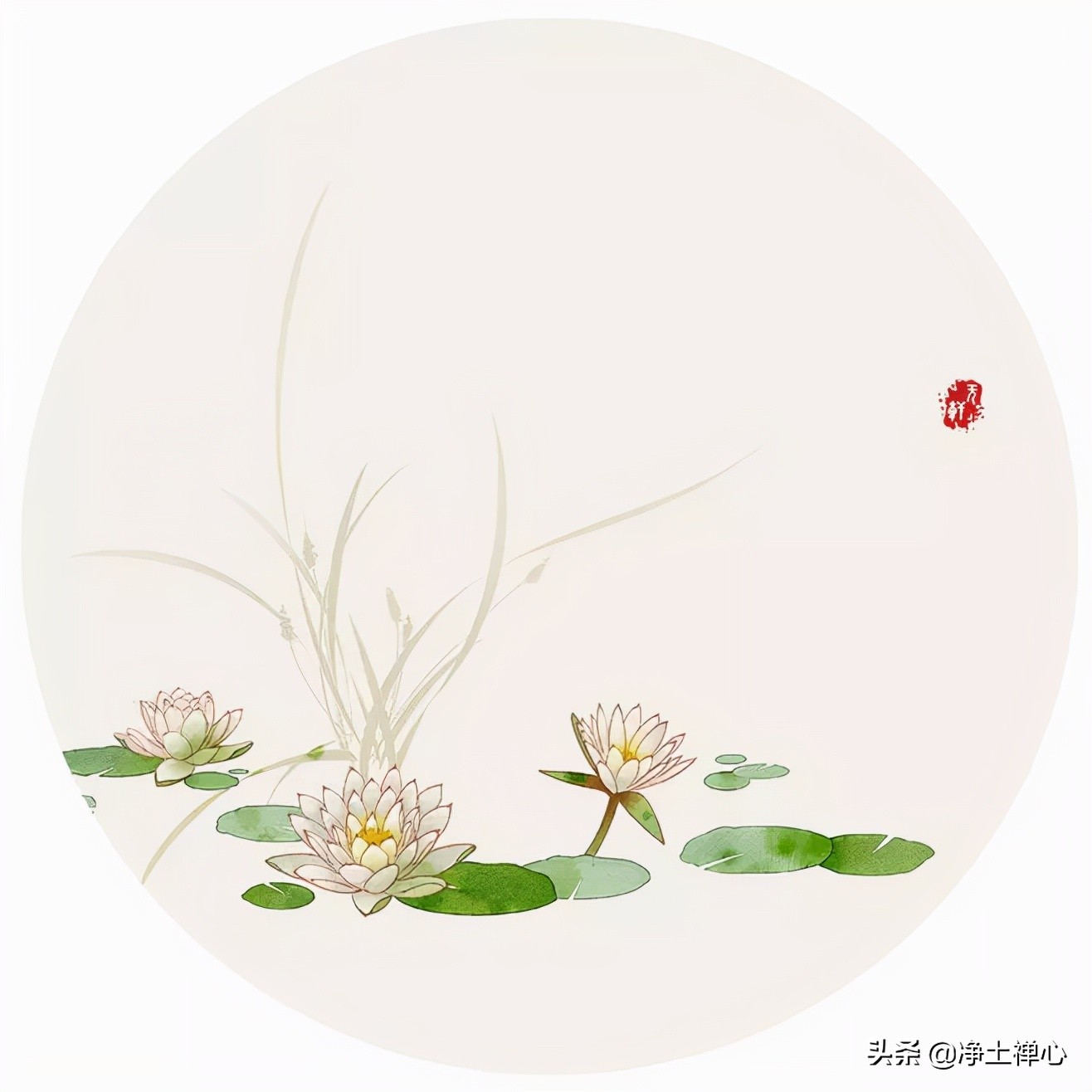 又是九月九，但愿人长久