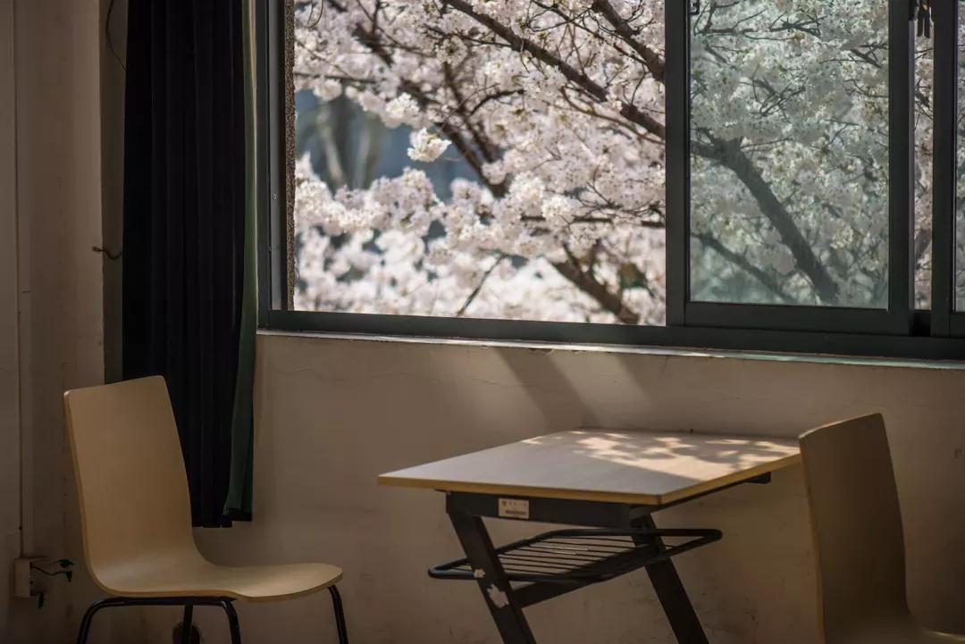 东南大学，是一所怎样的大学？