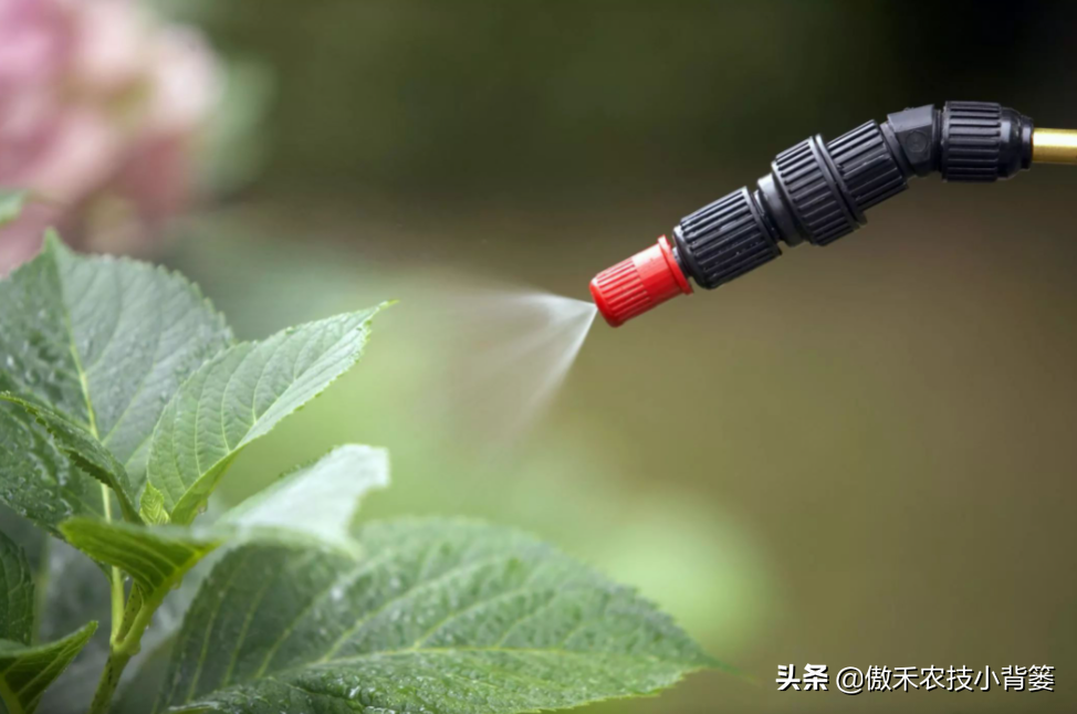 蔬菜上的农药残留,哪些残留多,哪些残留少?如何才能清洗干净?