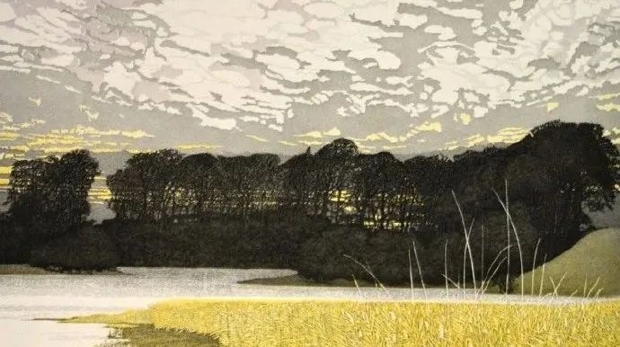 住院记丨逃跑的保姆