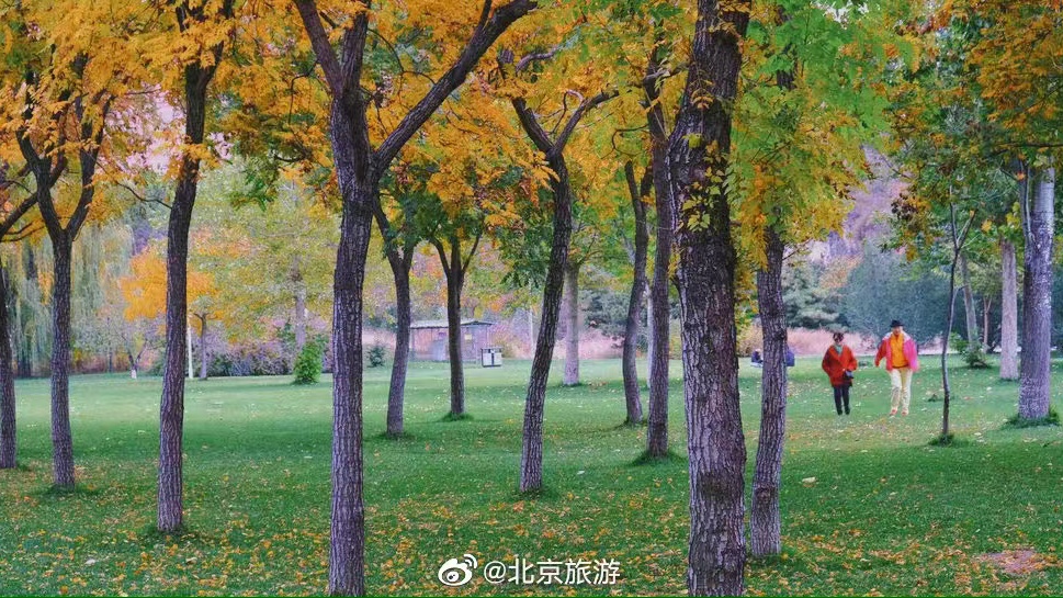 北京旅游点有哪些景点(中国旅游点有哪些景点)