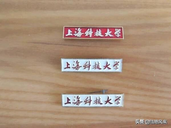 上海科技大学与曾经存在过的上海科学技术大学