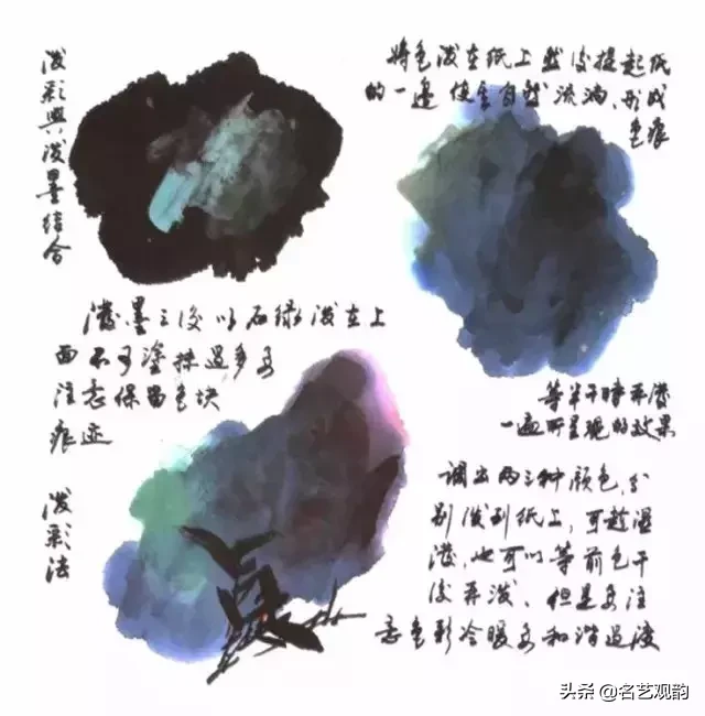 国画技法 | 写意花鸟画色彩技法详解之染色方法