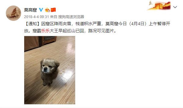 莫高学堂·乐乐茶咖馥园｜流淌在千年莫高的氤氲咖啡香