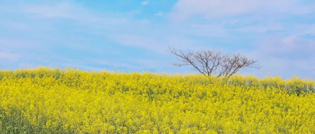 全国43！你听说了吗？