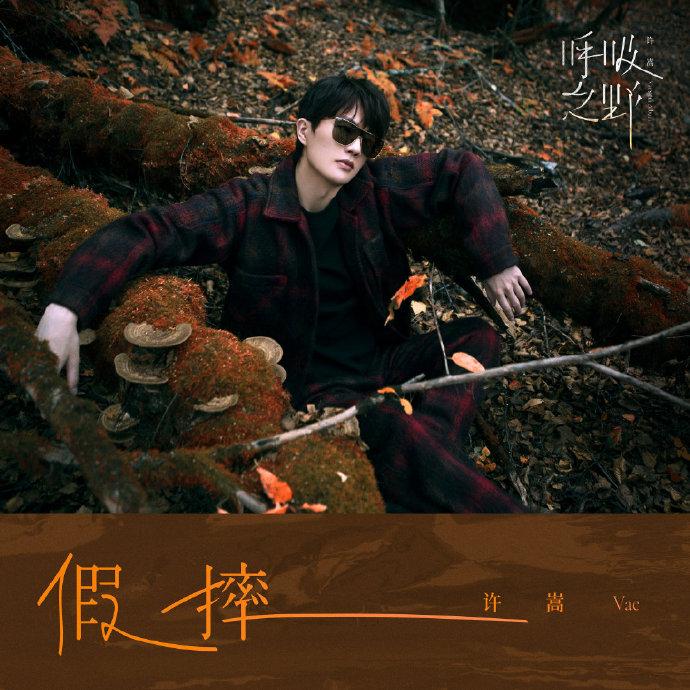 假摔许嵩(许嵩新歌《假摔》,道尽了社会的冷漠)