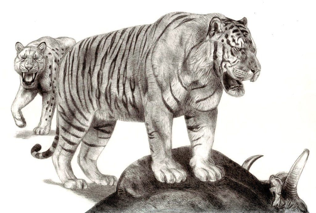 800公斤史上最大的老虎（唯一证据却被证明是洞狮）