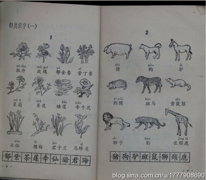 80后一代人的求学记忆：1987-1988年人教版五年制小学语文全集