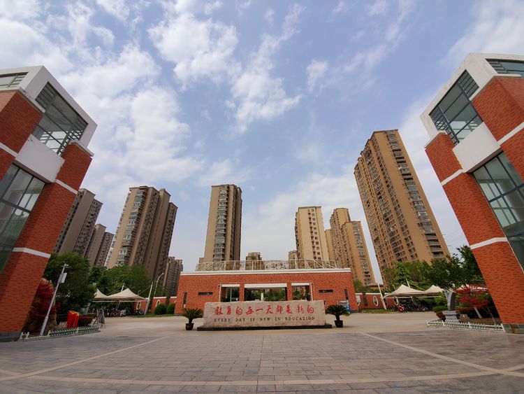 开发区实验学校：美矣美矣，开实芬芳“桃李”