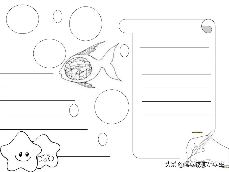 小编整理的这套手抄报模版,是纯净线条版,做小报首先得会做框架,把