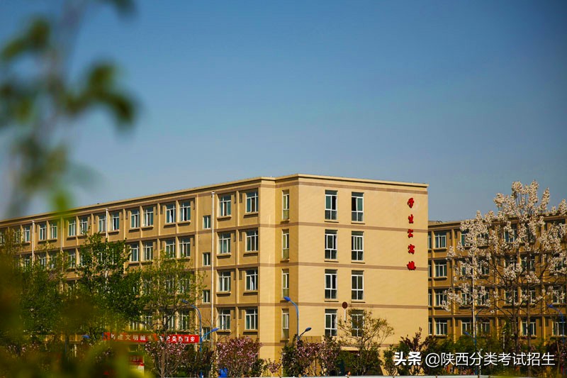 立德 笃学 修能 致用 ‖ 西安职业技术学院