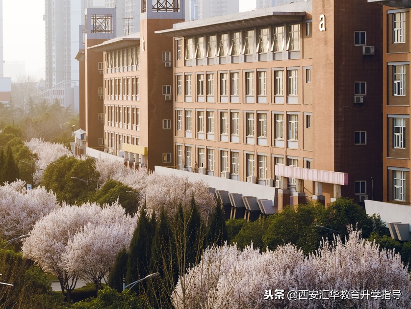 西安“最土豪大学”，仅仅一个宿舍，秒杀其他院校？