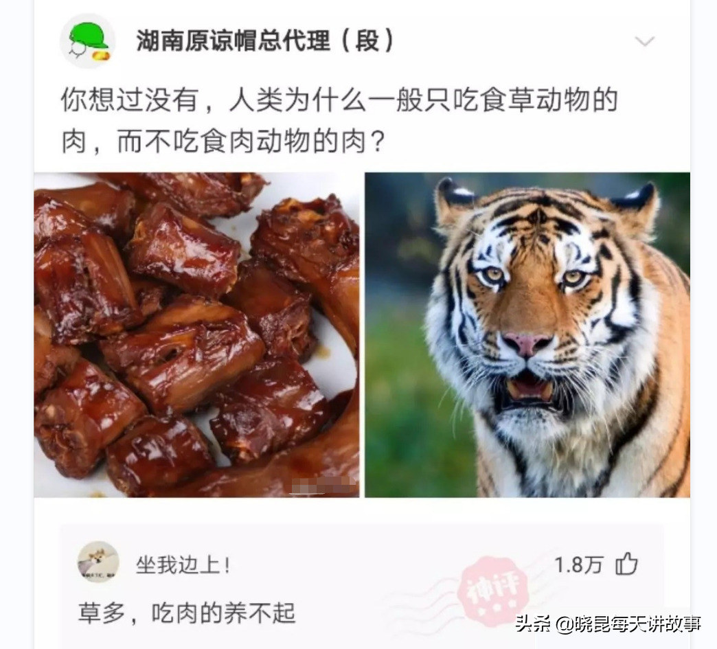 神回复：为什么月经叫做大姨妈？网友解释得明明白白，太有文化了