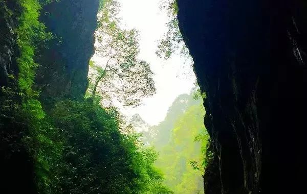 正式通知，峨眉山门票降价啦！现在去峨眉山，便宜50元/人