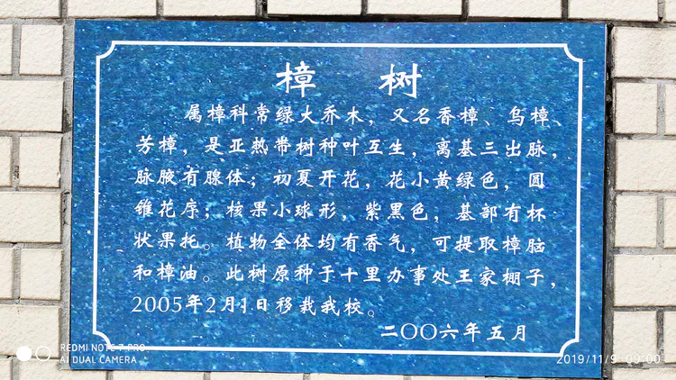 陪你一起看湖北省广水一中①——走进植物王国