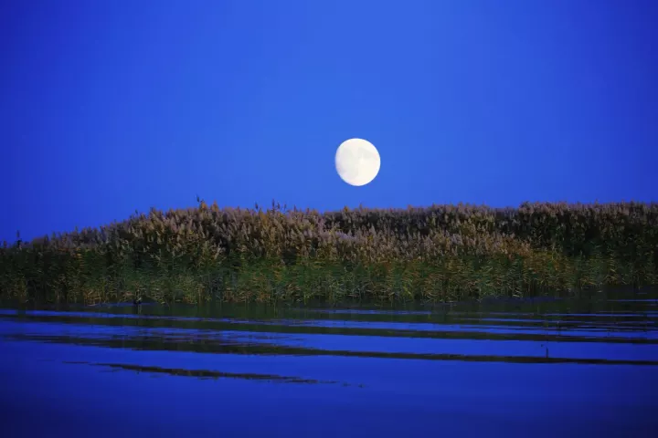 居延海，三千弱水，原来在此