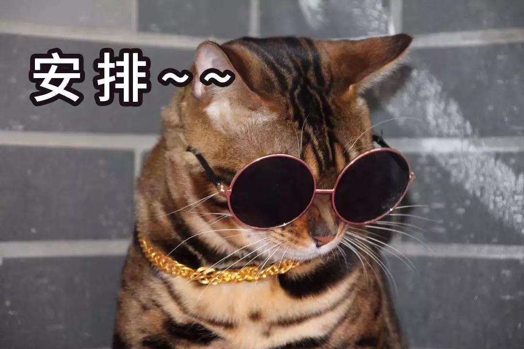 你身边发生过哪些，因嘴瓢而闹过的笑话？哈哈我头要笑飞了！