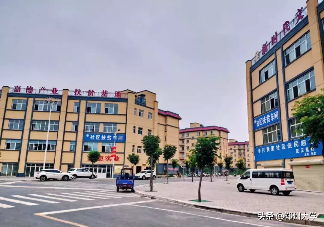 郑州大学大学生暑期社会实践活动综述（二）