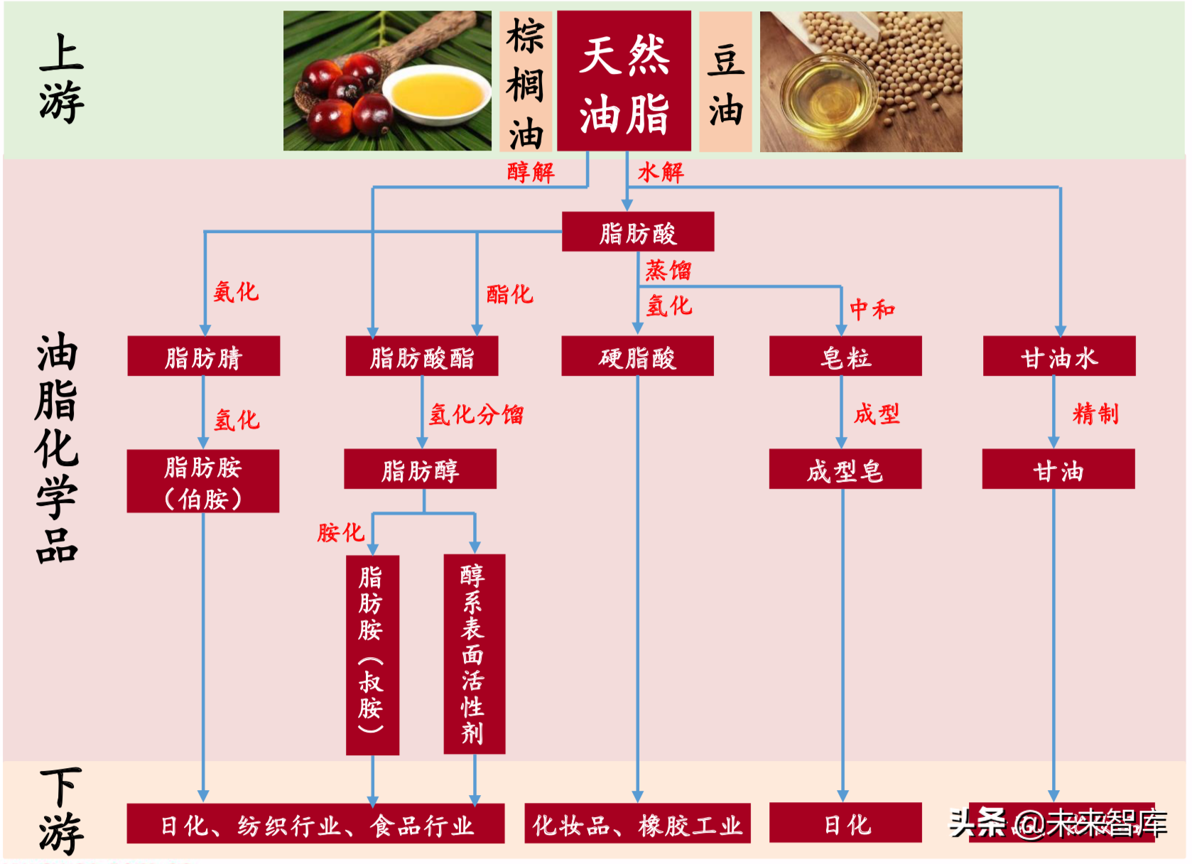 天然油脂脂肪酸脂肪醇表面活性劑重點公司分析油脂化工產業鏈