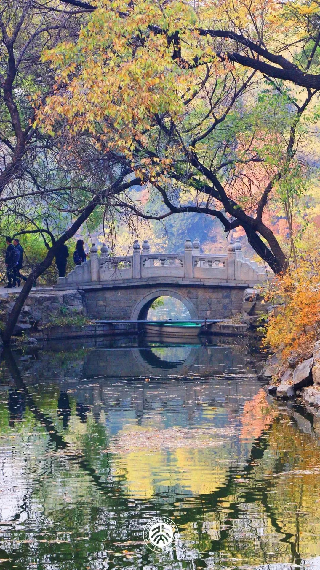 你的理想大学，终于被做成了手机壁纸