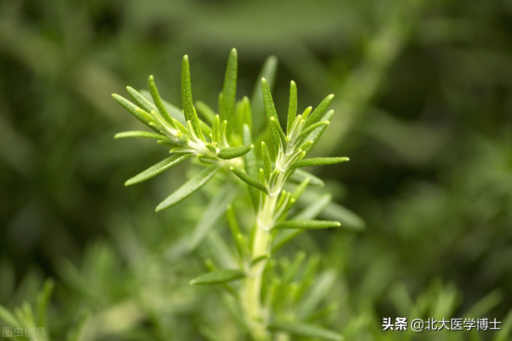 这位患者名叫张真爱(化名),60岁,为河南省栾川县冷水沟农民.