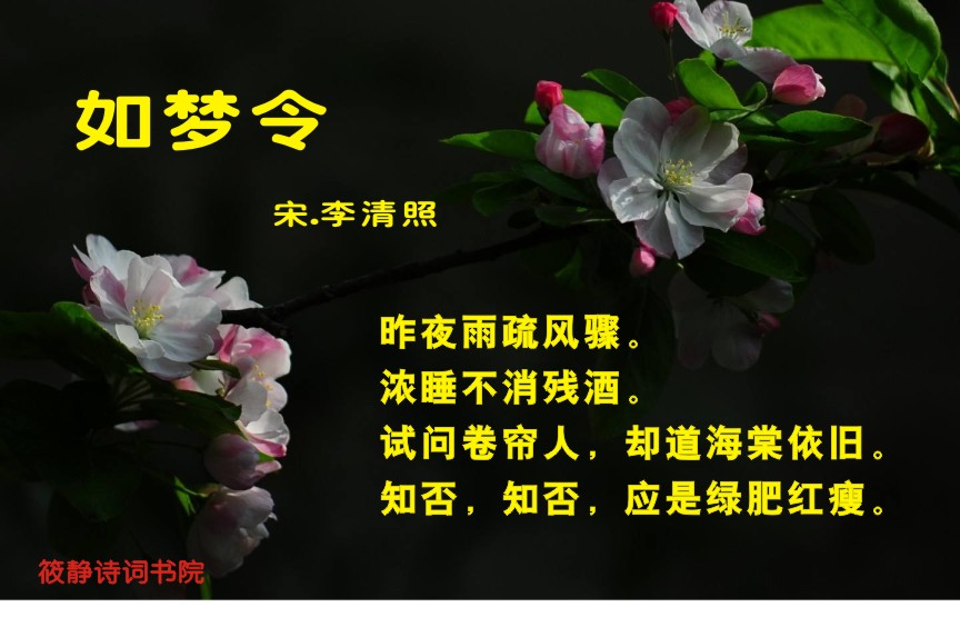 诗词鉴赏05｜李清照｜知否，知否 应是绿肥红瘦