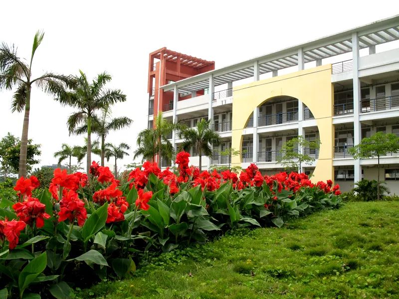 2020年广东3+证书最低录取155分，清远职业技术学院介绍