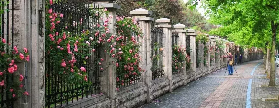 @高考生，浙江师范大学使用说明书来了，请查收