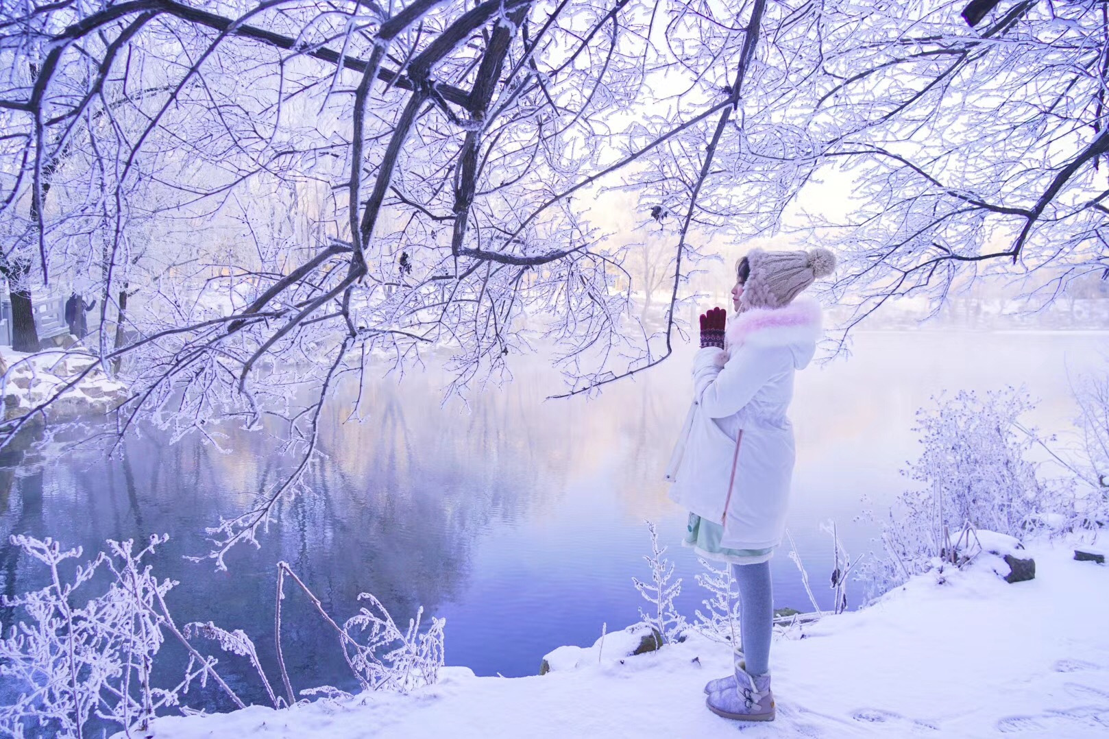 想去东北看雪哪个地方更好(冬季到哪里去看雪？追寻中国最美的雪国仙境)