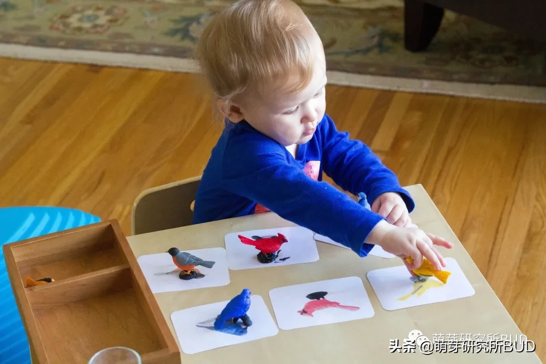 近百个蒙特梭利亲子活动，轻松在家和娃玩，玩上一个暑假不重样