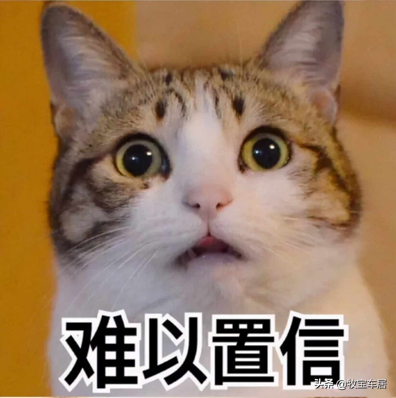 汽车脚垫选购指南请翻阅