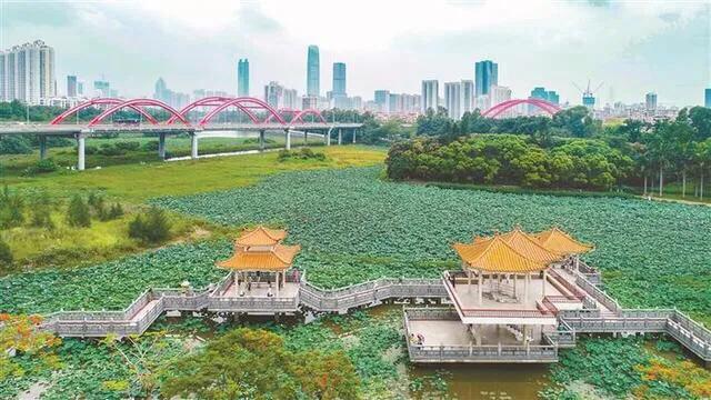 深圳十大免费特色的湖泊公园