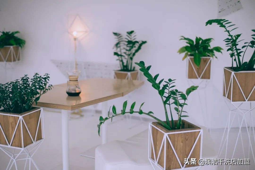 开工第一天，我只想要搞钱