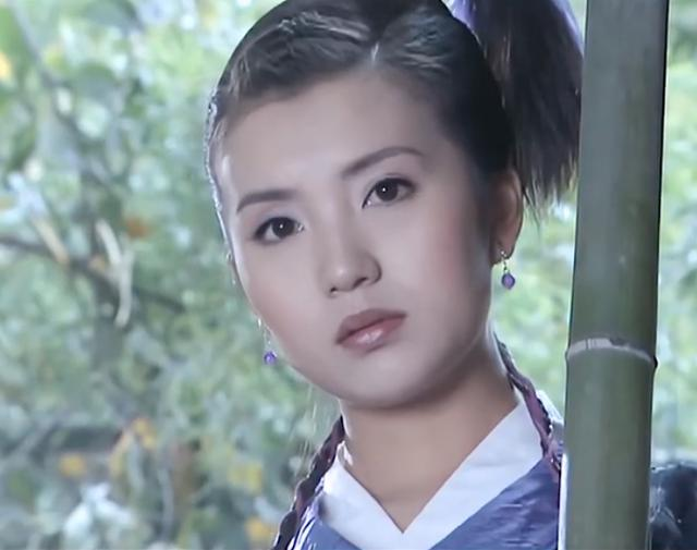 胡军版天龙八部演员表 胡军版天龙八部余婆演员-经验帮