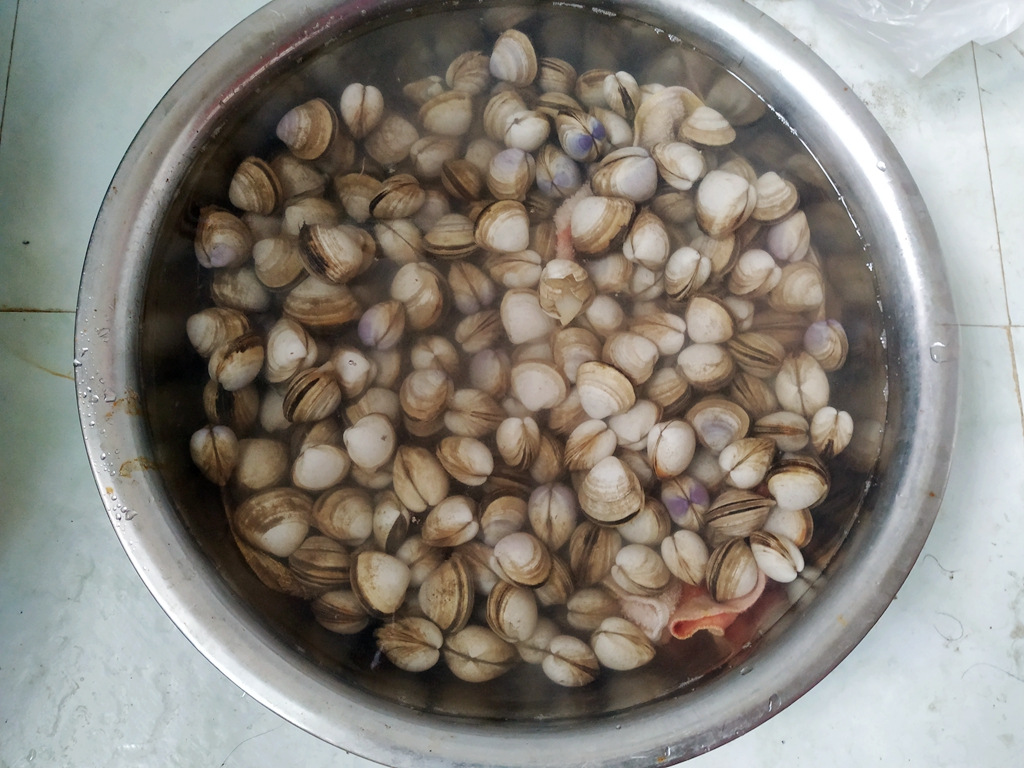 白贝怎么吐沙,白贝吐沙最快的方法