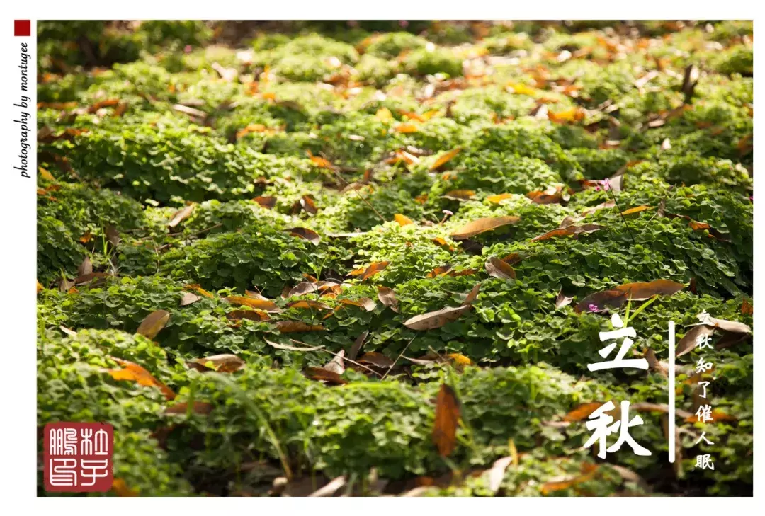 @高考生，浙江师范大学使用说明书来了，请查收