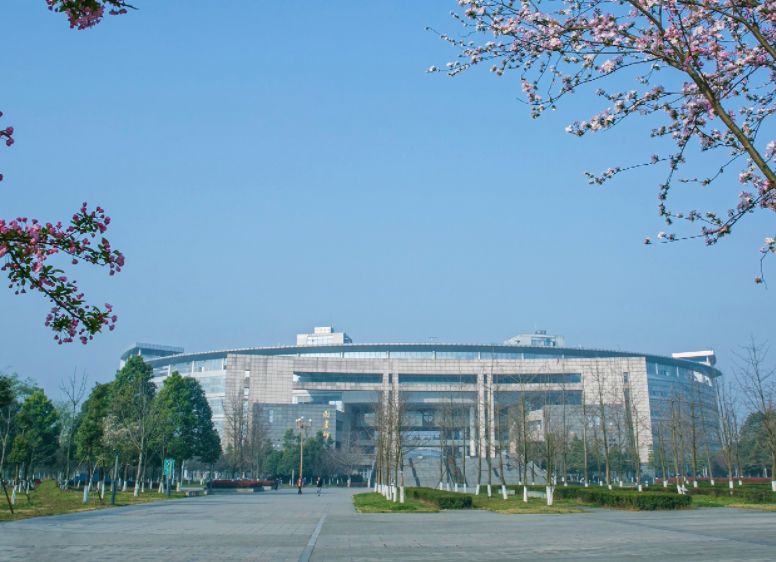 四川高校| 川大、西财、西南医科等大学在重庆录取分数线