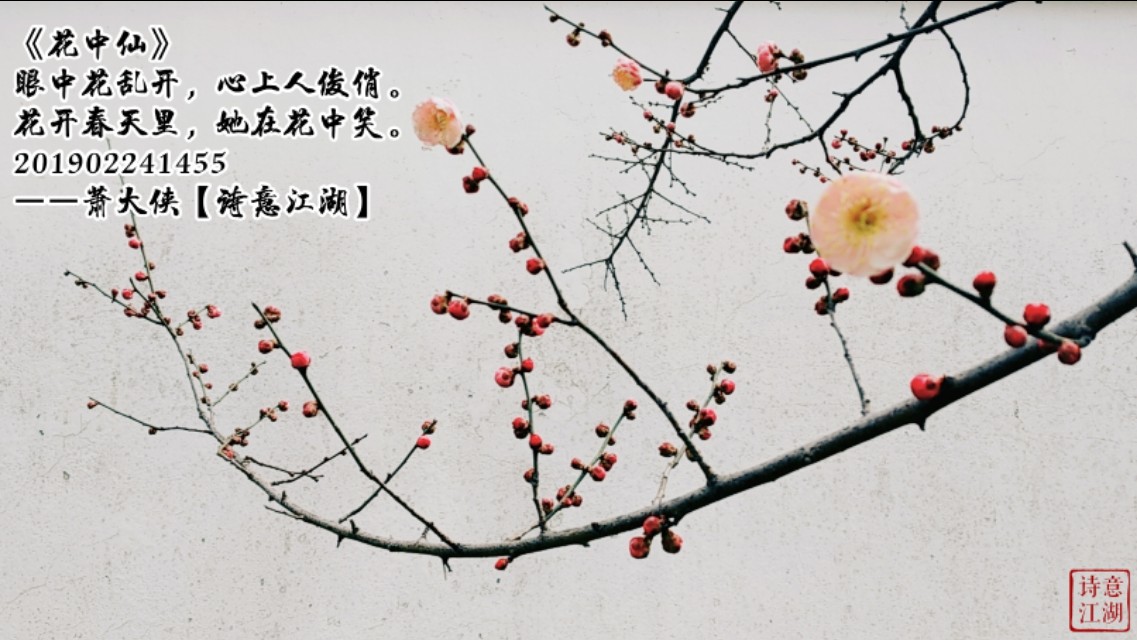 诗意江湖原创长诗《女性颂歌》,对天下所有女性的赞美