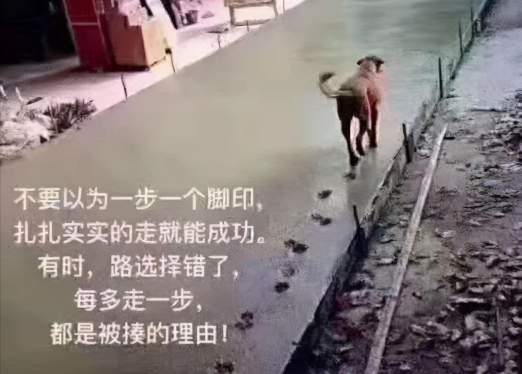 文科生VS理科生，大学毕业后才发现，差别不是一星半点