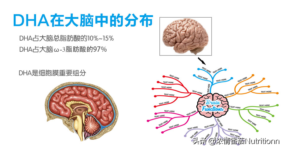 宝宝补充DHA从什么时间开始补充最好？有哪些注意事项？