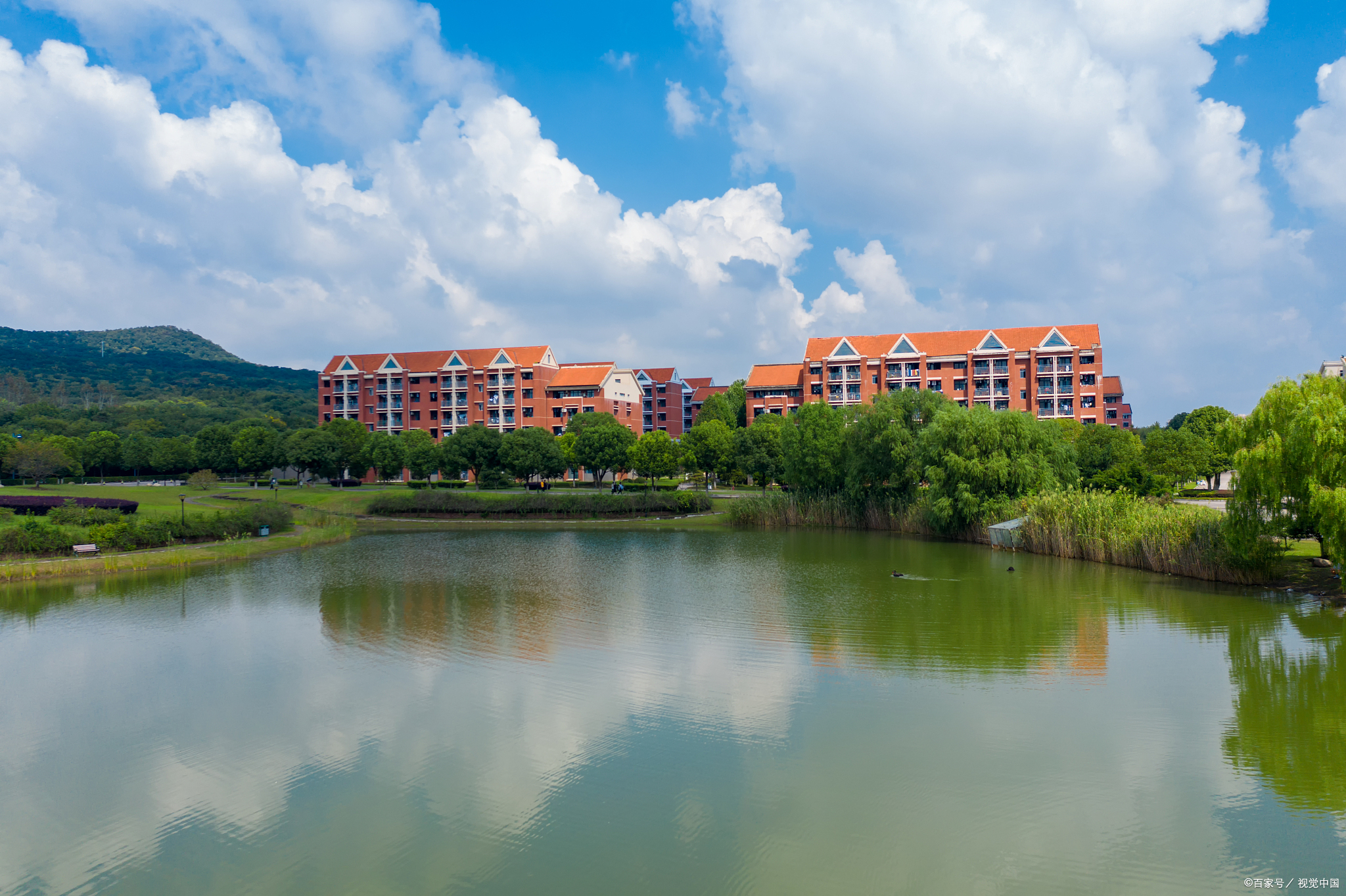 中传又变了！？新增专业和新考纲分学院的详细解读来了