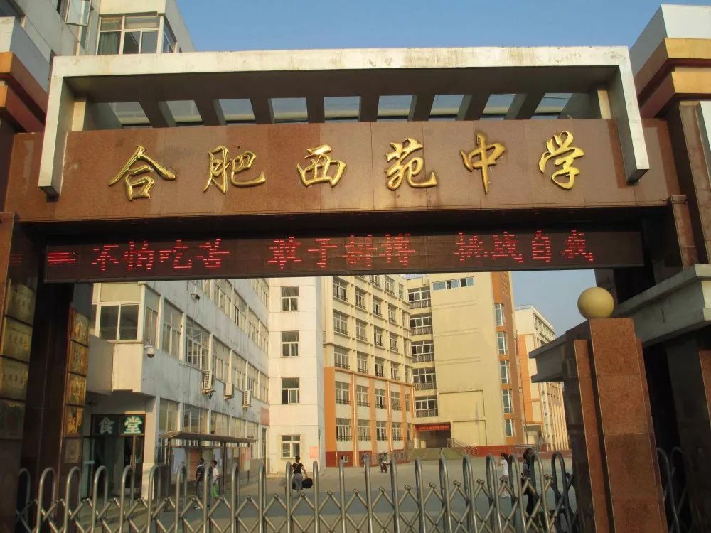 年薪20万孩子上不起学？合肥TOP10学区房or上民办究竟有多贵？