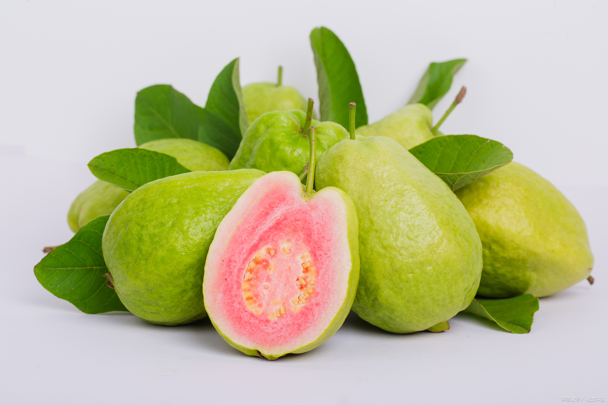 芭乐的营养价值适应性很强的热带果树