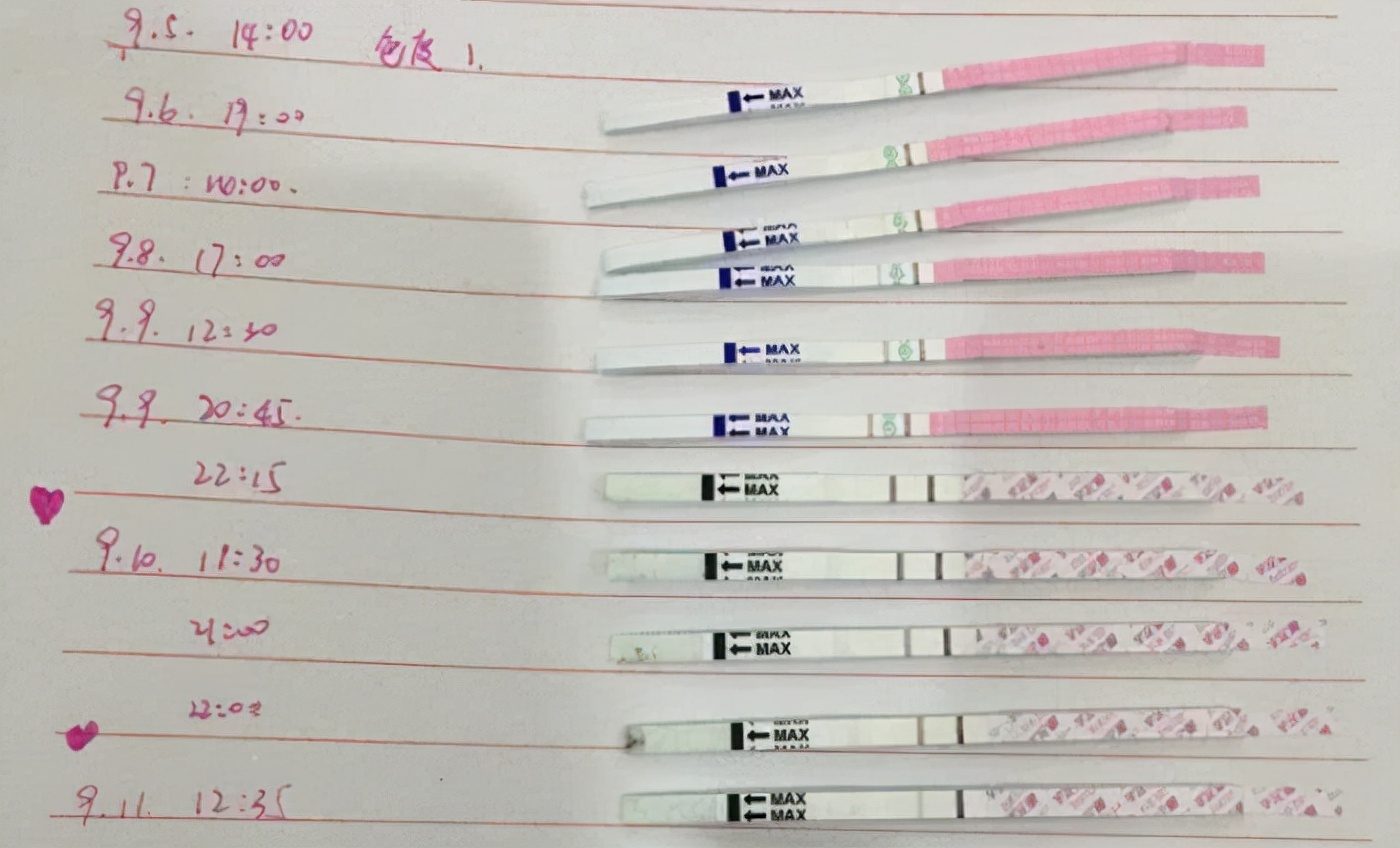 排卵期可以闻出“气味”？适合备孕的好时机，女性通常有哪些表现