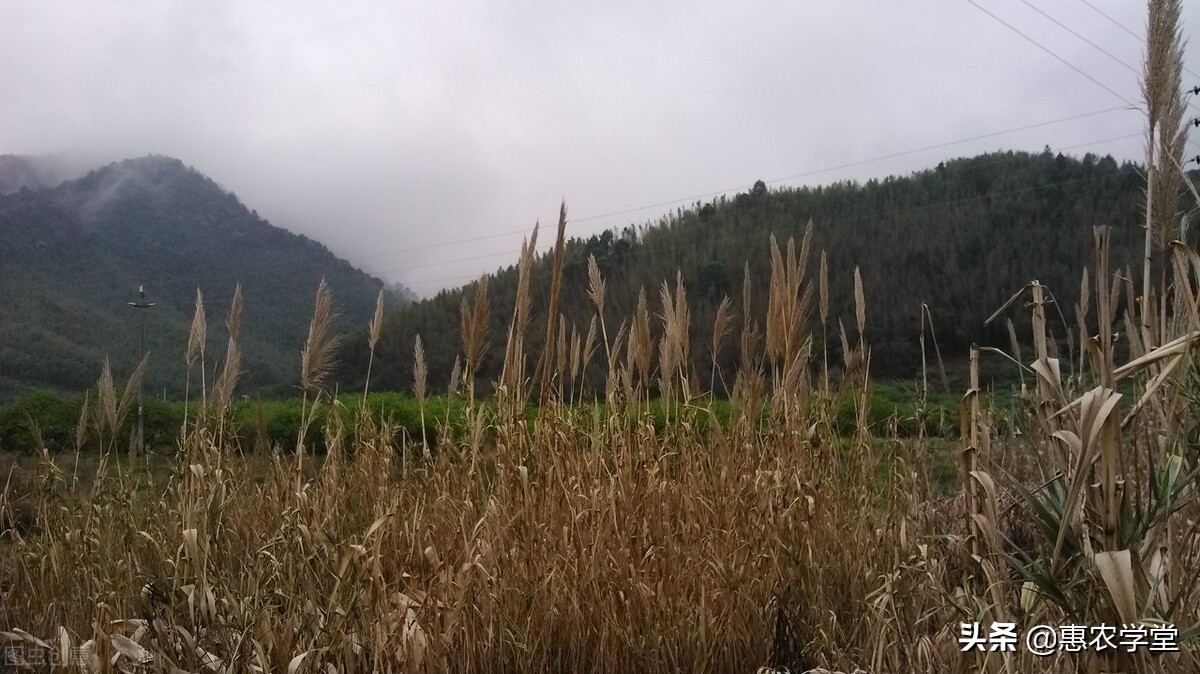 土地闲置费,土地闲置费征收标准
