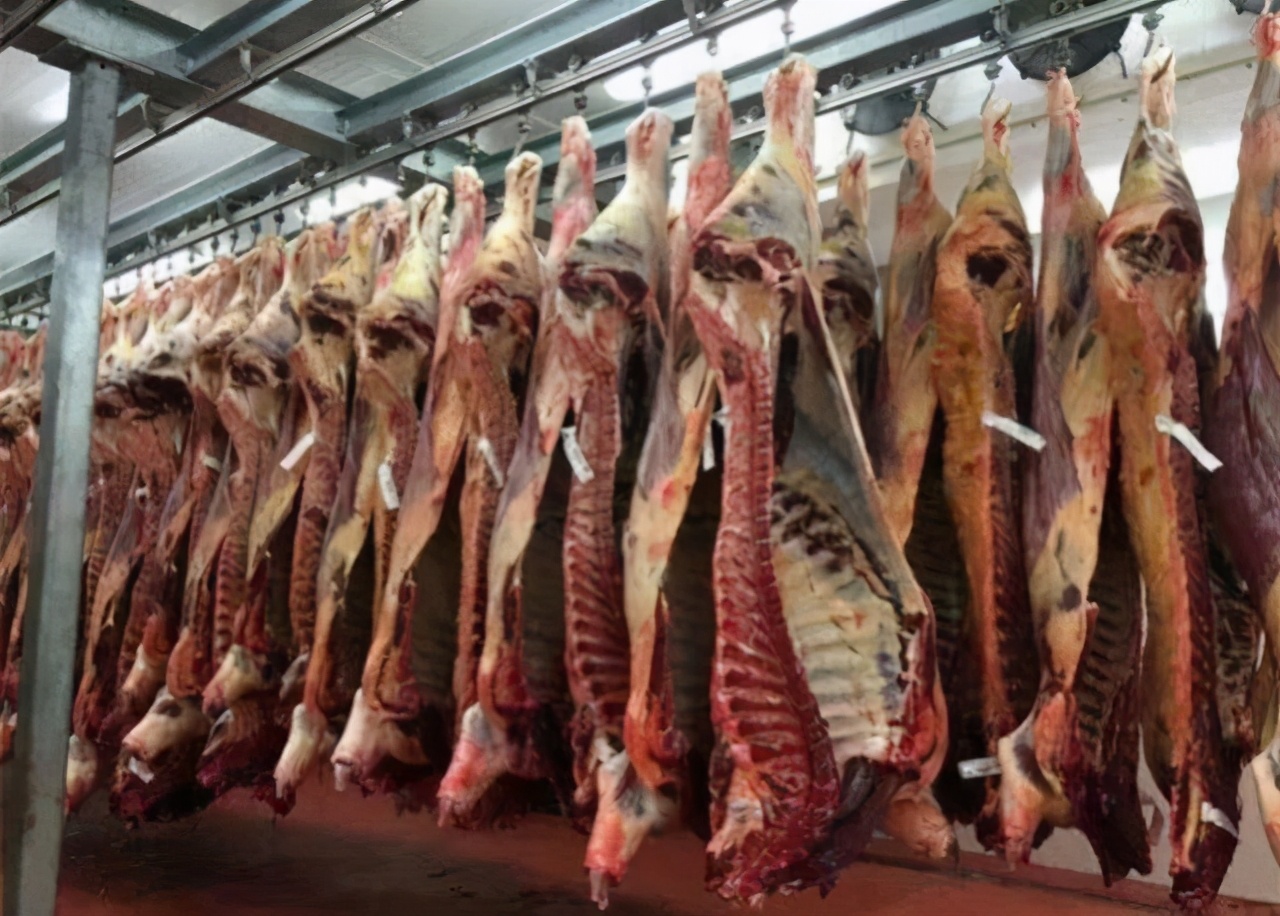 牛柳为什么便宜(牛柳为什么便宜很多)-麦斯财经