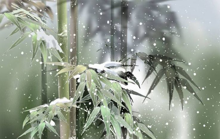 雪压竹的诗句赞美竹子不怕雪的诗句